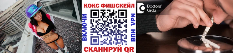 Купить закладки  Жиздра  Cocaine 98% 