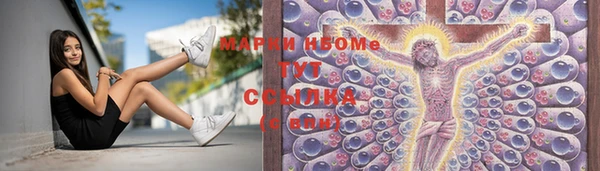 МДПВ Богородск