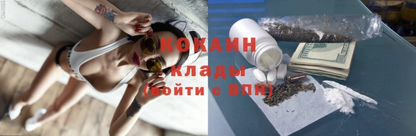 МДПВ Богородск