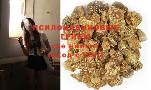МДПВ Богородск