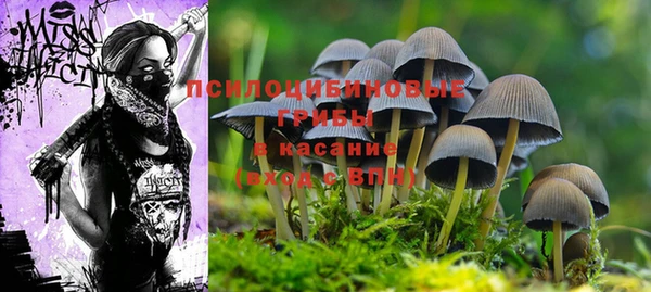 МДПВ Богородск