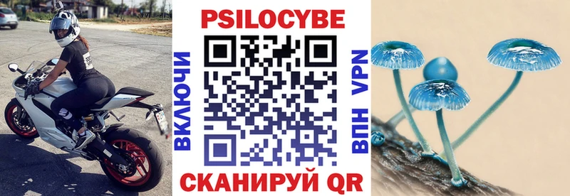 Купить где  Жиздра  Галлюциногенные грибы Cubensis 